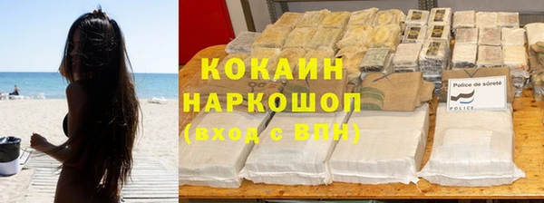 гашик Карпинск