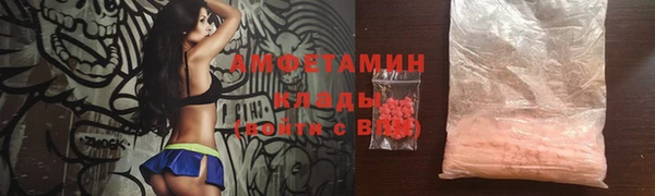 гашик Карпинск