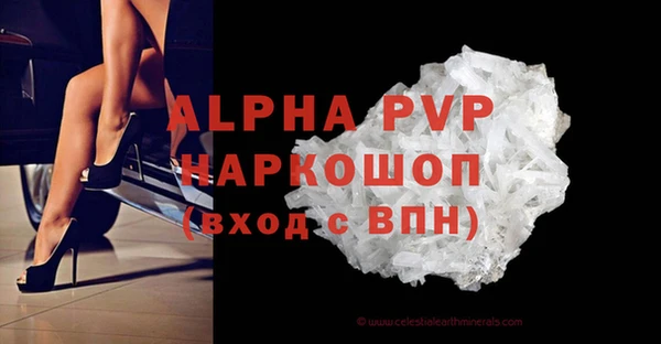 гашик Карпинск