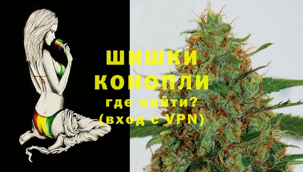 гашик Карпинск