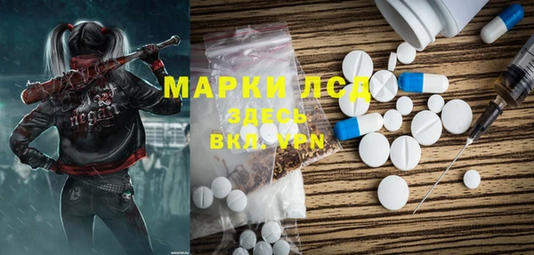 гашик Карпинск