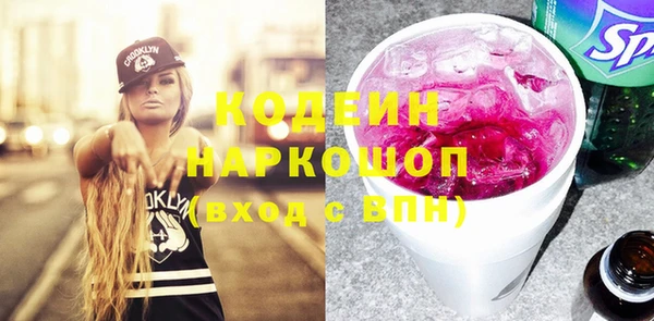 гашик Карпинск
