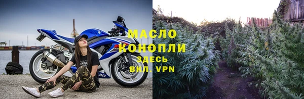 гашик Карпинск