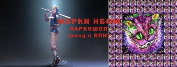 гашик Карпинск