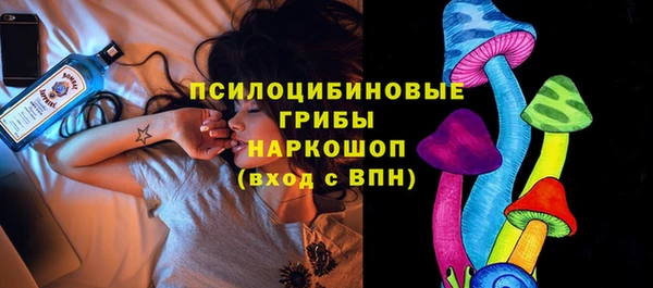 гашик Карпинск