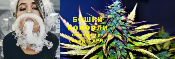 гашик Карпинск