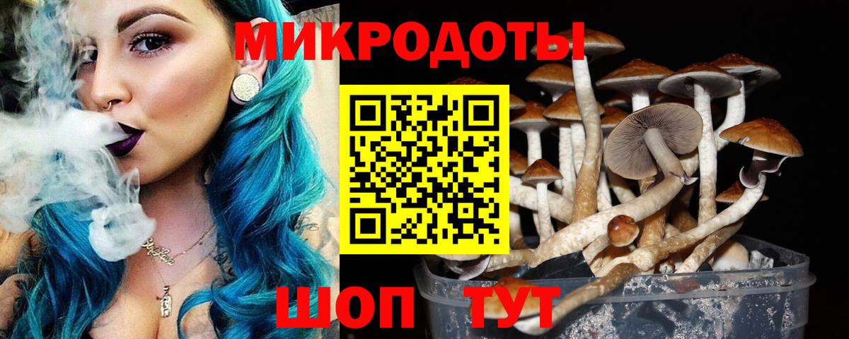 Псилоцибиновые грибы мухоморы  цены   Барнаул 