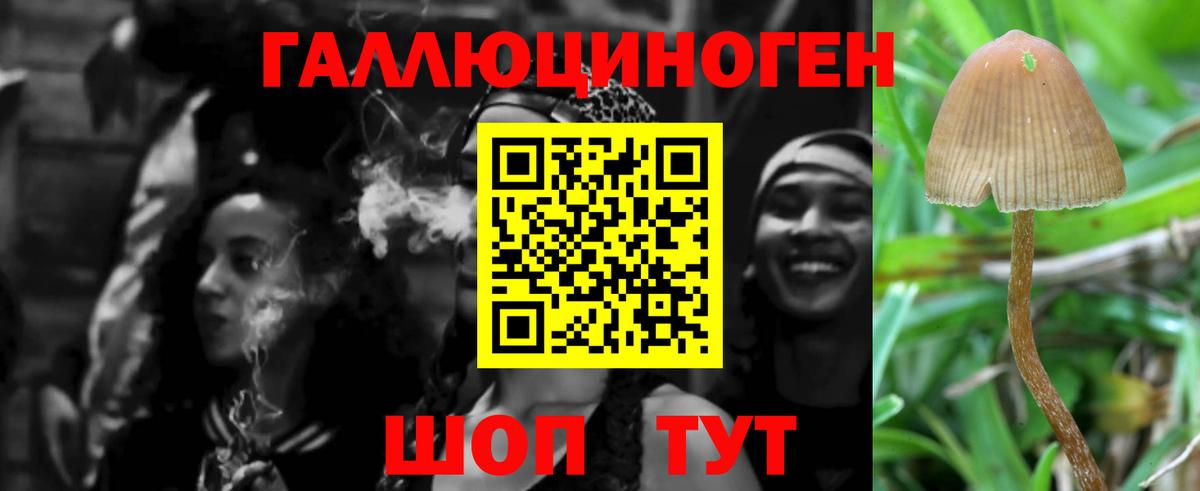 Псилоцибиновые грибы мухоморы Барнаул